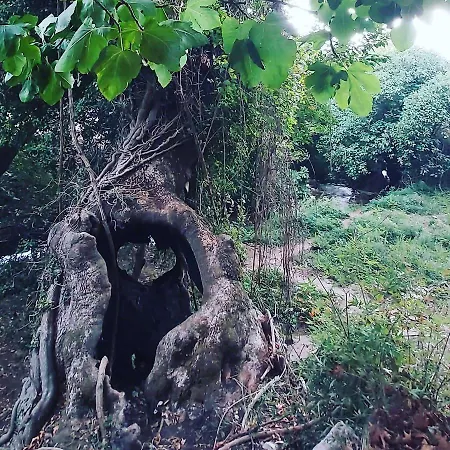 Maria Tsomou Ferienhaus