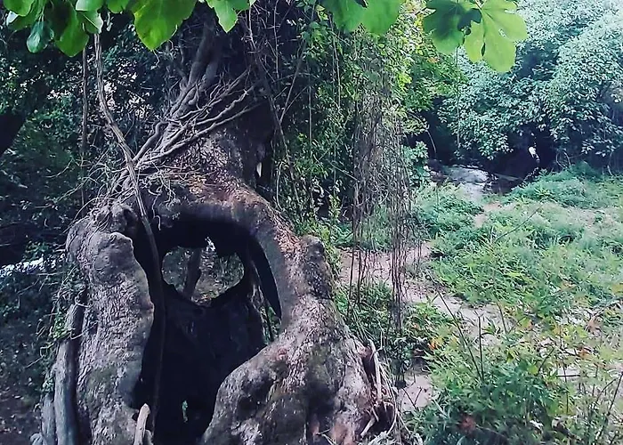 Maria Tsomou Tatil Evi